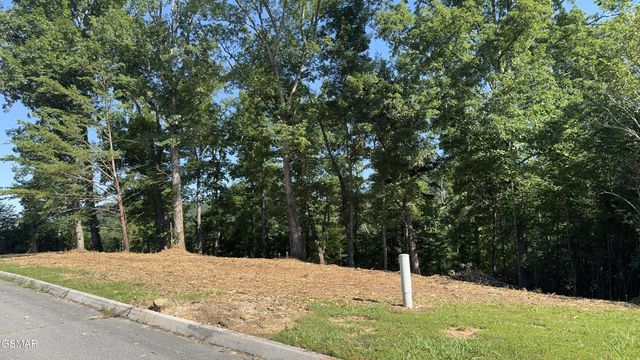 13 Rupert Drive, Dandridge, TN 37725