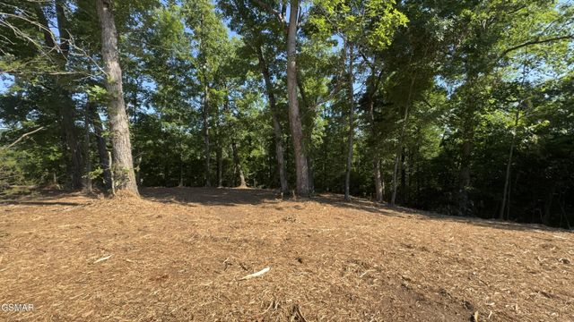 13 Rupert Drive, Dandridge, TN 37725