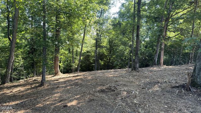 13 Rupert Drive, Dandridge, TN 37725