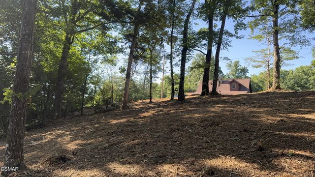 13 Rupert Drive, Dandridge, TN 37725