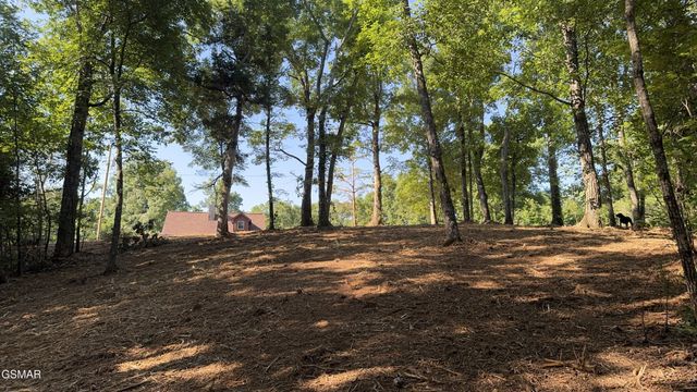 13 Rupert Drive, Dandridge, TN 37725