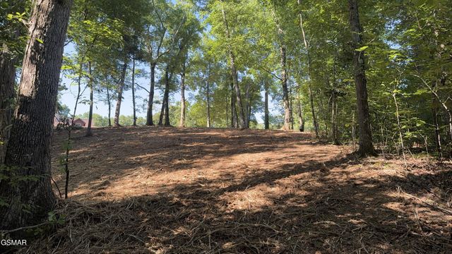 13 Rupert Drive, Dandridge, TN 37725