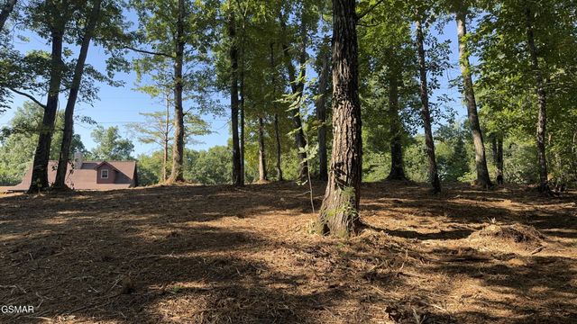 13 Rupert Drive, Dandridge, TN 37725