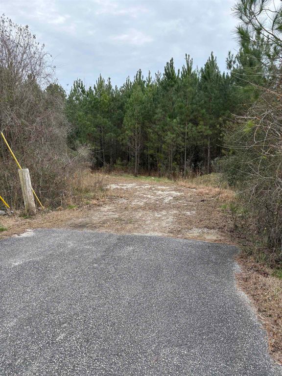 TBD Turkey Pen Rd., Longs, SC 29568 — photo 3