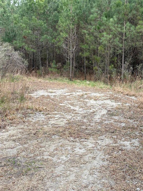 TBD Turkey Pen Rd., Longs, SC 29568 — photo 4