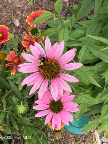 108 Jordan Drive, New Bern, NC 28562