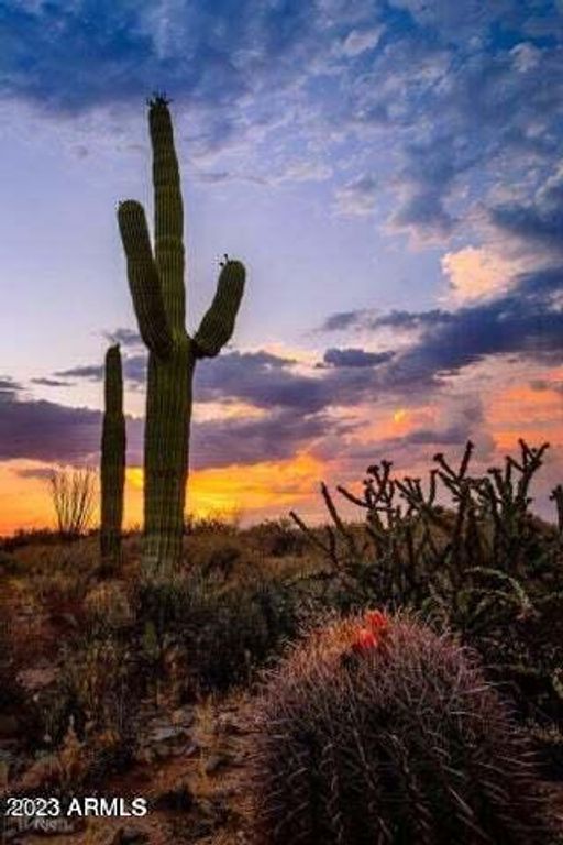 0000 Cloudview -- -, Gold Canyon, AZ 85118 — photo 4