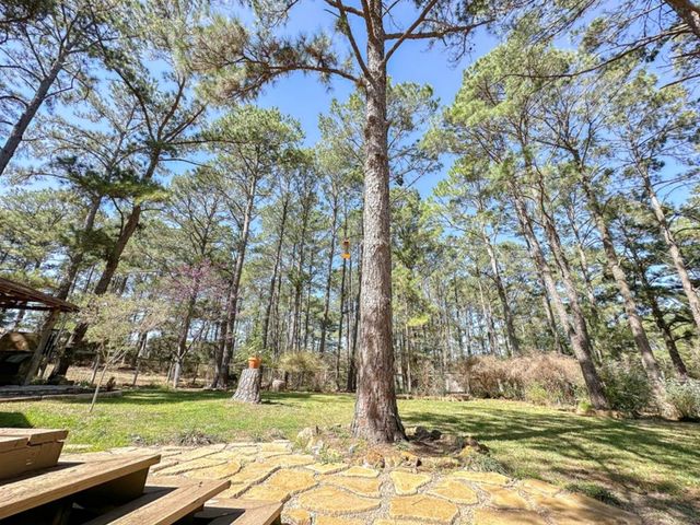 251 Pine View LOOP, Bastrop, TX 78602
