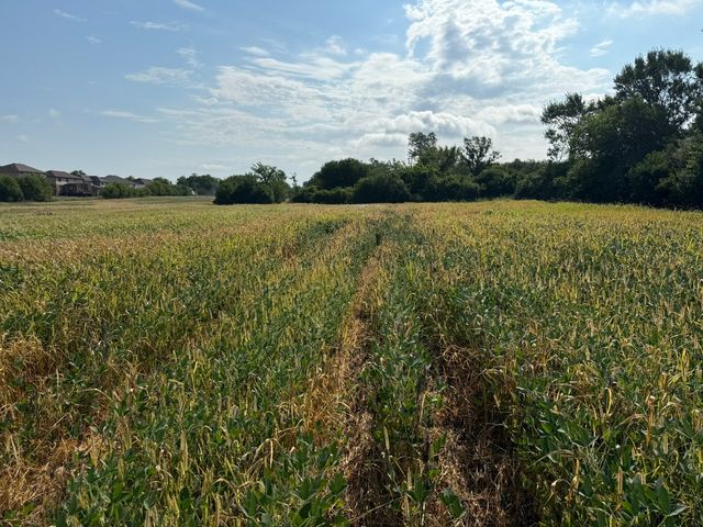 1400 (apx) W Exchange Street, Crete, IL 60417