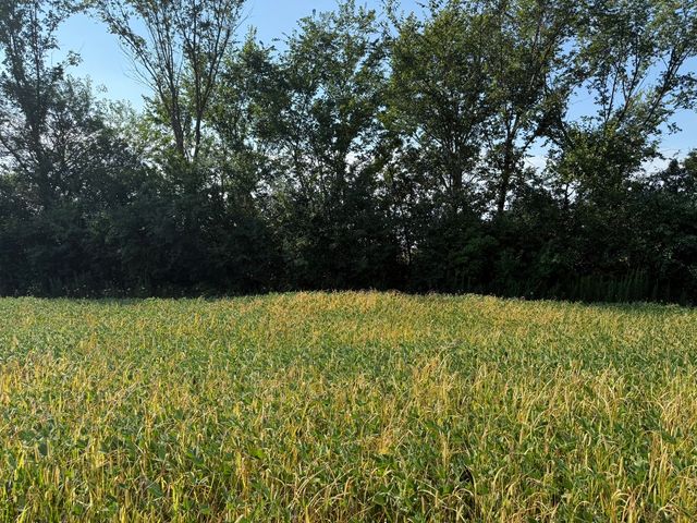 1400 (apx) W Exchange Street, Crete, IL 60417