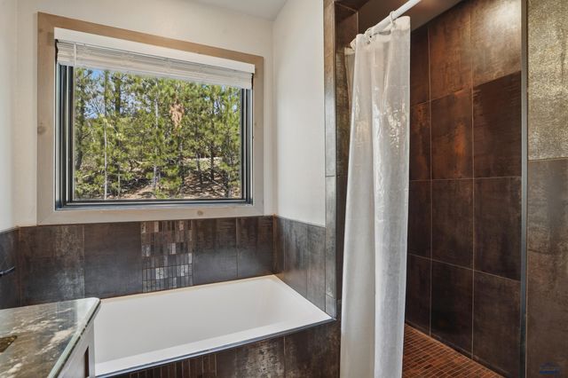 21230 LAST CHANCE TRAIL, Lead, SD 57754