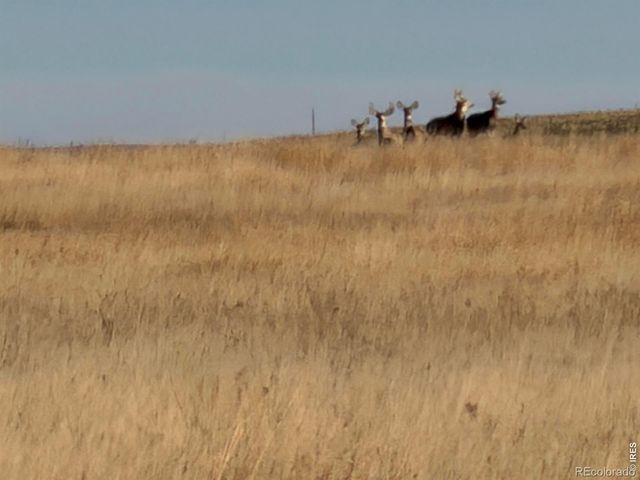 43 DD Road, Burlington, CO 80807