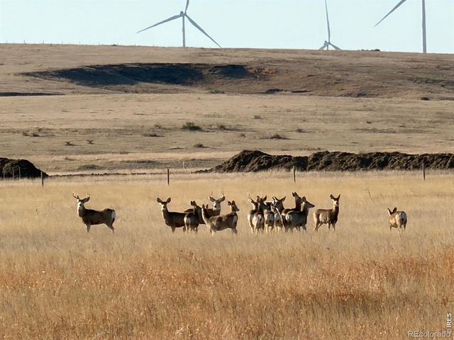 43 DD Road, Burlington, CO 80807