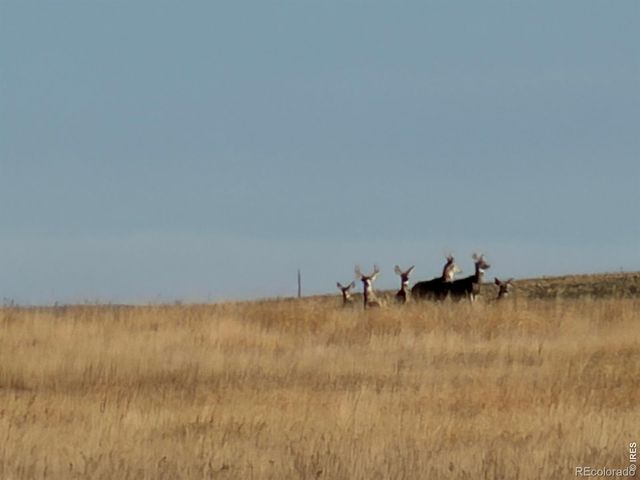 43 DD Road, Burlington, CO 80807