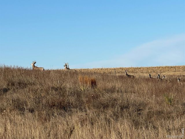 43 DD Road, Burlington, CO 80807