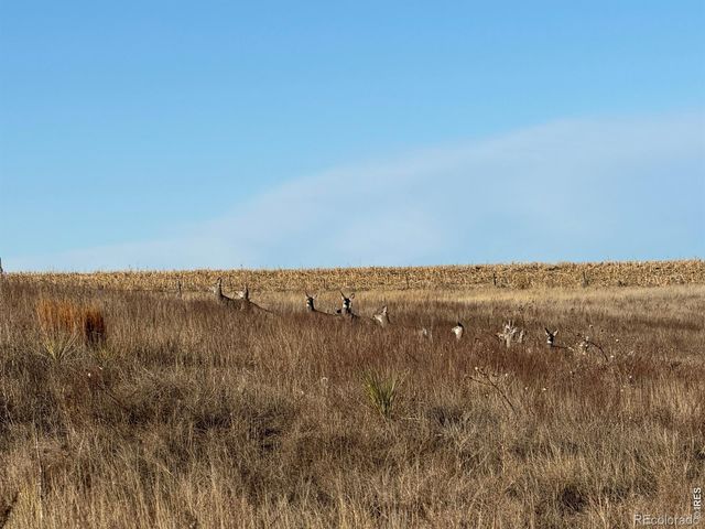 43 DD Road, Burlington, CO 80807