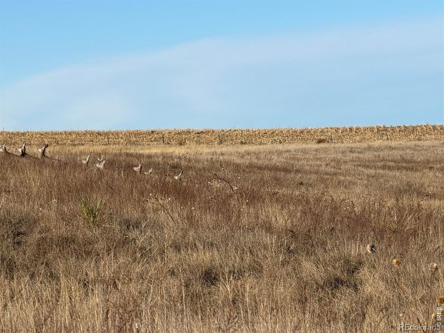 43 DD Road, Burlington, CO 80807