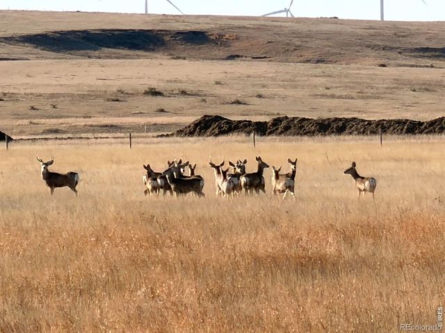 43 DD Road, Burlington, CO 80807