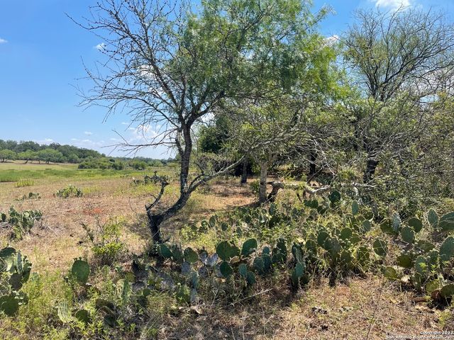 3505 COUNTY ROAD 476, Nixon, TX 78140