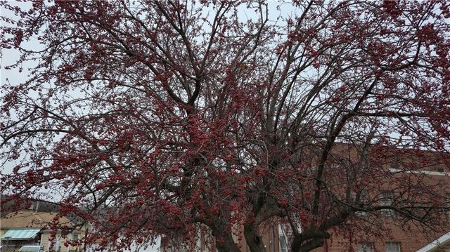 1108 Roosevelt Avenue, St Joseph, MO 64505