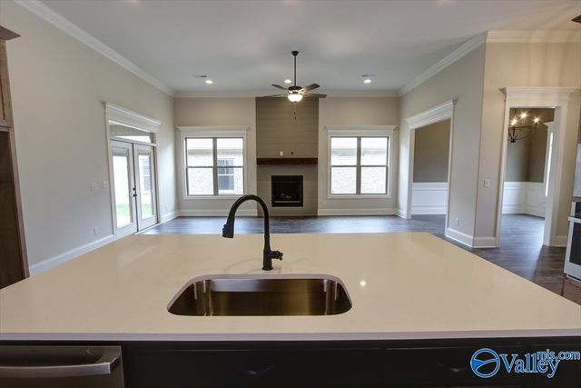 12404 Narayan Street, Madison, AL 35756