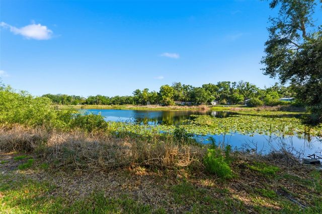 910 LINWOOD TERRACE, Lutz, FL 33549