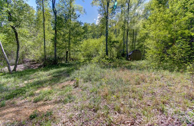 109 & 99999 Apgar Road, Candler, NC 28715
