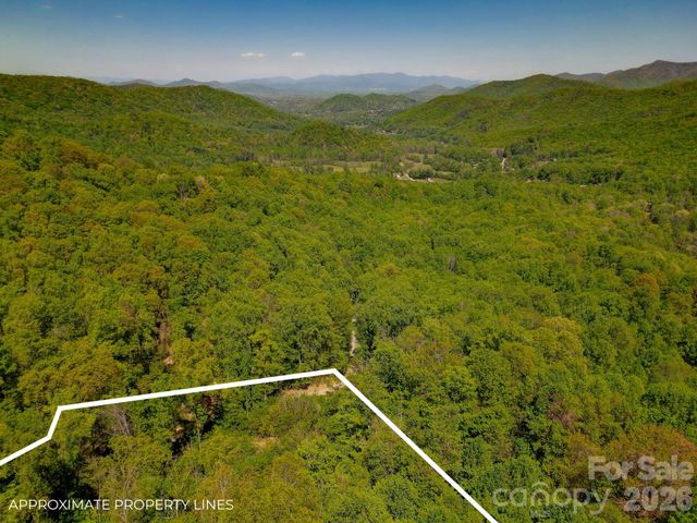 109 & 99999 Apgar Road, Candler, NC 28715