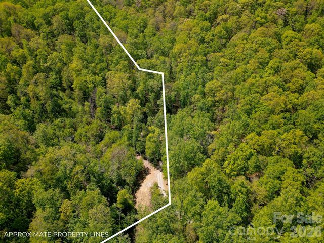 109 & 99999 Apgar Road, Candler, NC 28715