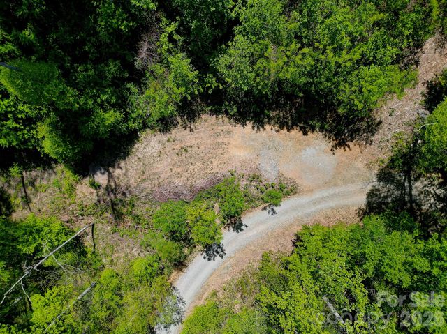 109 & 99999 Apgar Road, Candler, NC 28715
