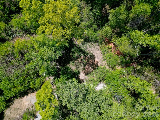 109 & 99999 Apgar Road, Candler, NC 28715