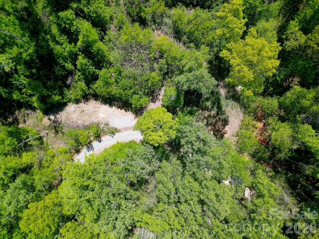109 & 99999 Apgar Road, Candler, NC 28715
