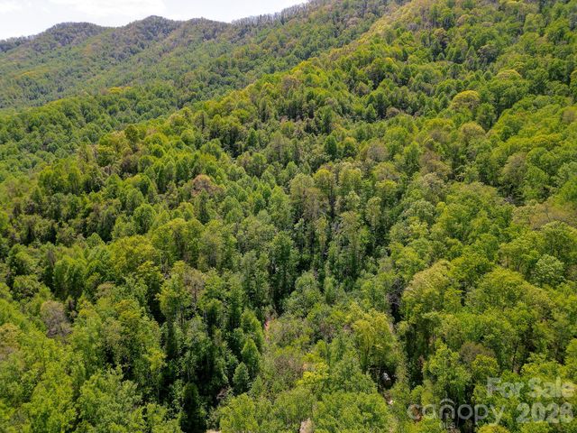 109 & 99999 Apgar Road, Candler, NC 28715