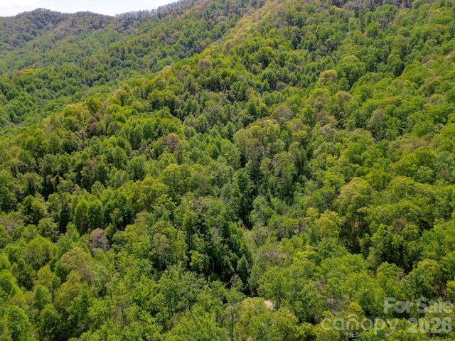 109 & 99999 Apgar Road, Candler, NC 28715