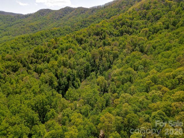 109 & 99999 Apgar Road, Candler, NC 28715