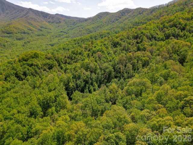 109 & 99999 Apgar Road, Candler, NC 28715
