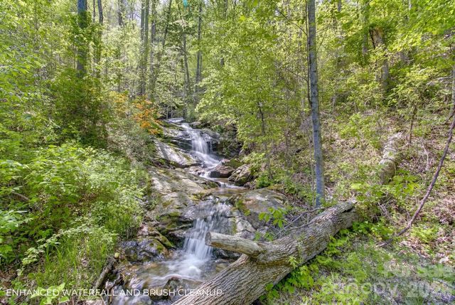 109 & 99999 Apgar Road, Candler, NC 28715