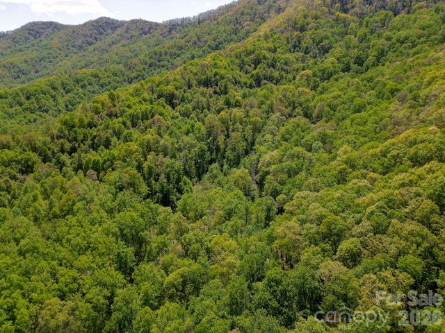 109 & 99999 Apgar Road, Candler, NC 28715