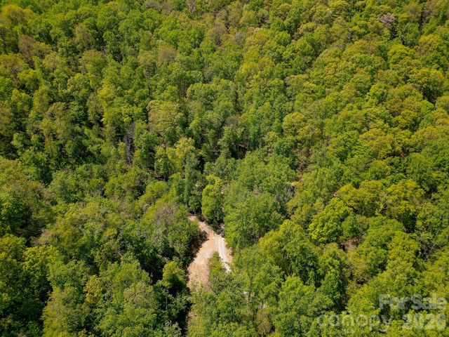 109 & 99999 Apgar Road, Candler, NC 28715