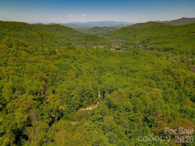109 & 99999 Apgar Road, Candler, NC 28715