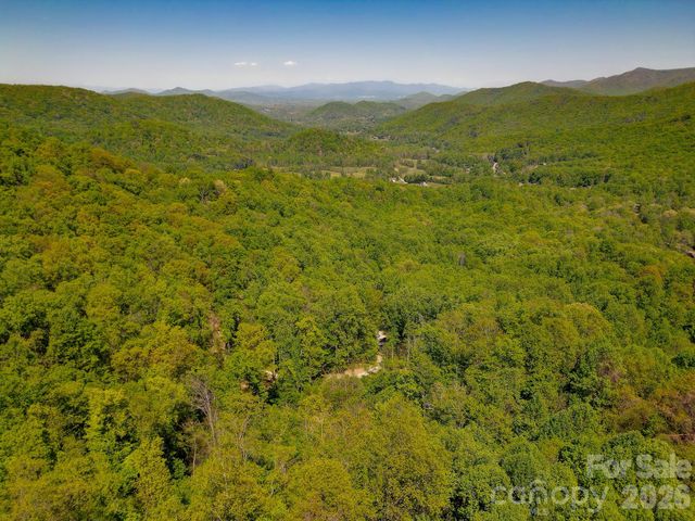 109 & 99999 Apgar Road, Candler, NC 28715