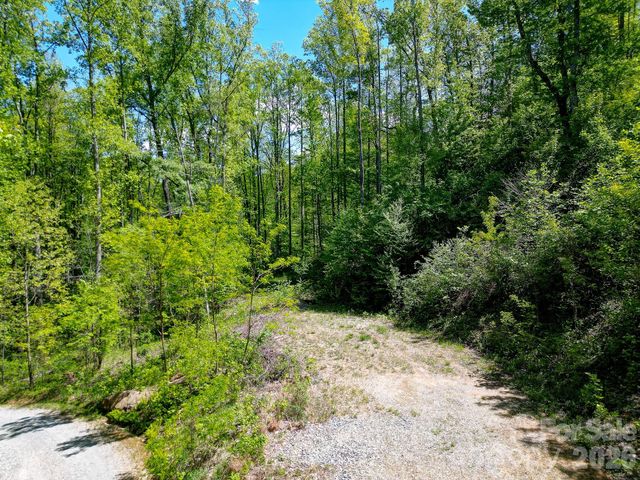 109 & 99999 Apgar Road, Candler, NC 28715
