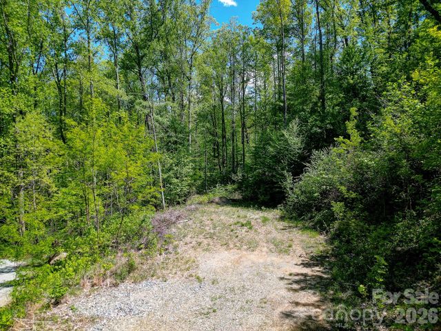 109 & 99999 Apgar Road, Candler, NC 28715