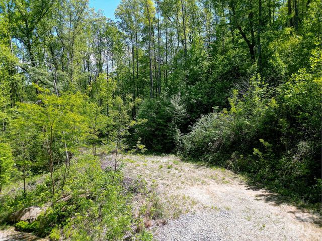109 & 99999 Apgar Road, Candler, NC 28715