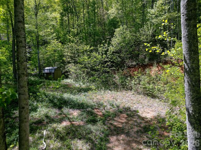 109 & 99999 Apgar Road, Candler, NC 28715