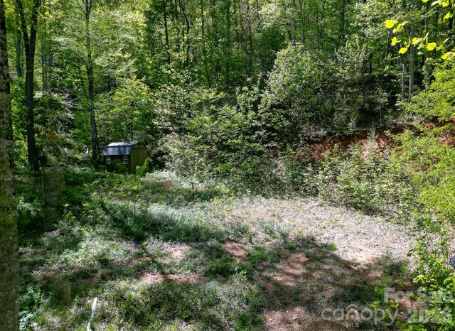 109 & 99999 Apgar Road, Candler, NC 28715