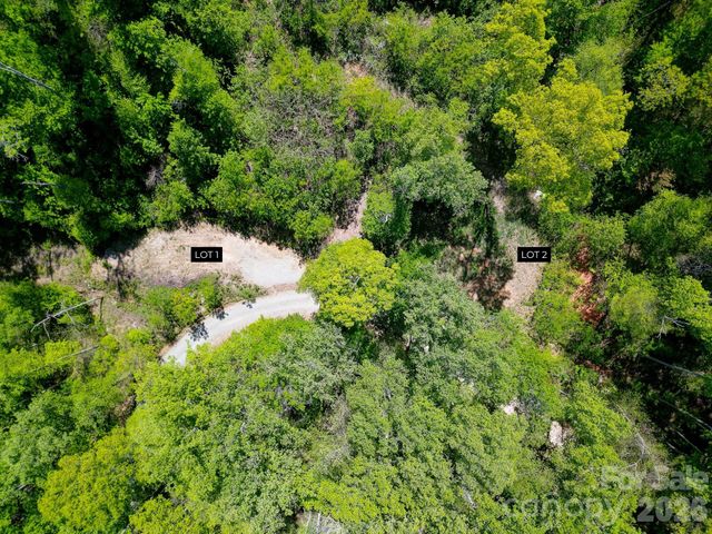 109 & 99999 Apgar Road, Candler, NC 28715