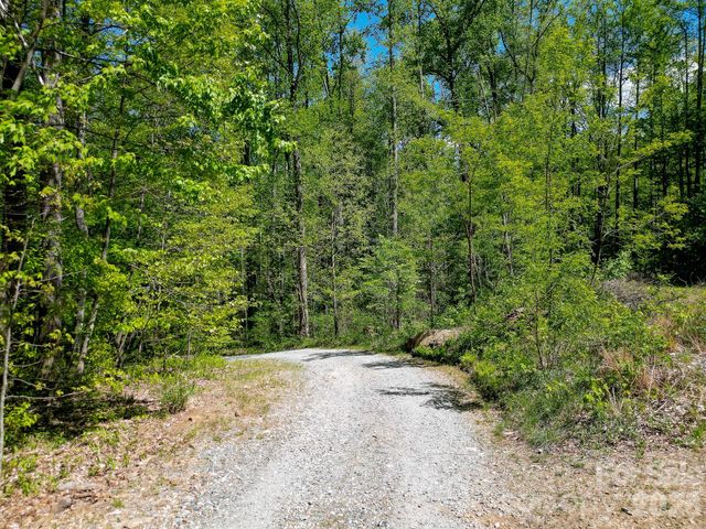 109 & 99999 Apgar Road, Candler, NC 28715
