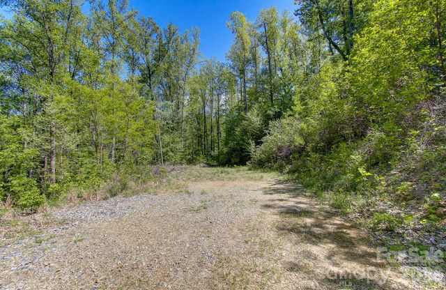 109 & 99999 Apgar Road, Candler, NC 28715
