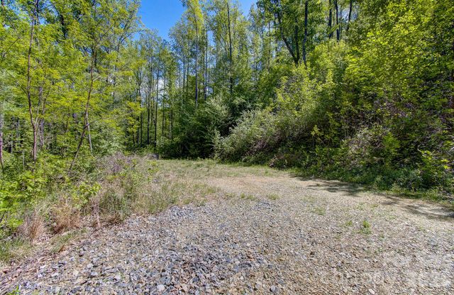 109 & 99999 Apgar Road, Candler, NC 28715